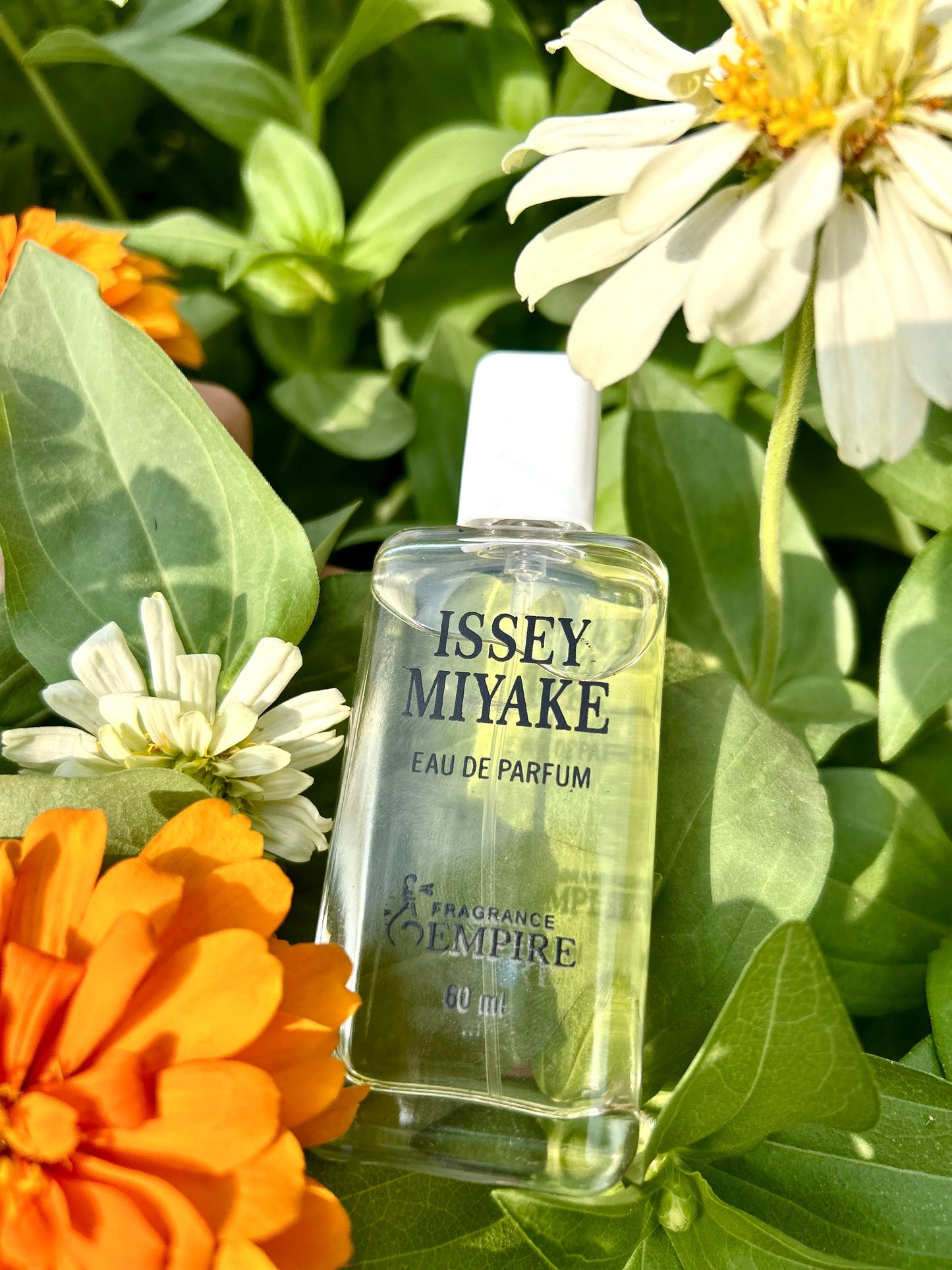 Issey Miyake L’Eau d’Issey Pour Homme – 60ml | Original Men’s Perfume