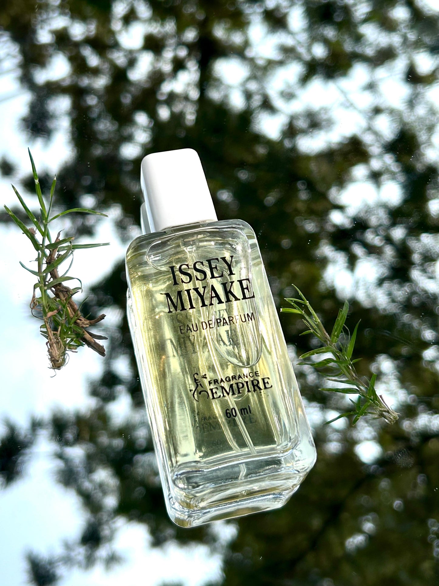 Issey Miyake L’Eau d’Issey Pour Homme – 60ml | Original Men’s Perfume