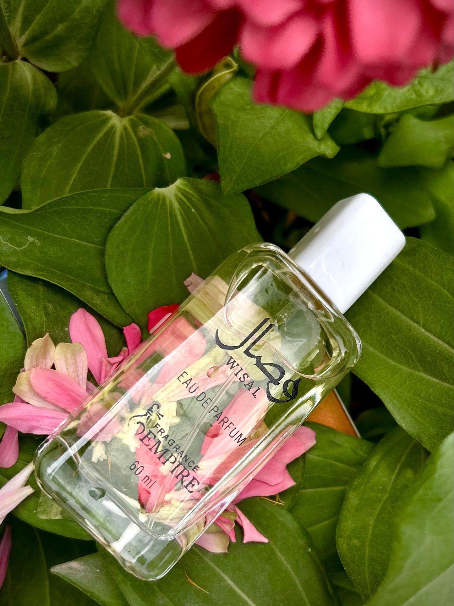 Wisal Eau de Parfum – 60ml | Elegant Unisex Fragrance