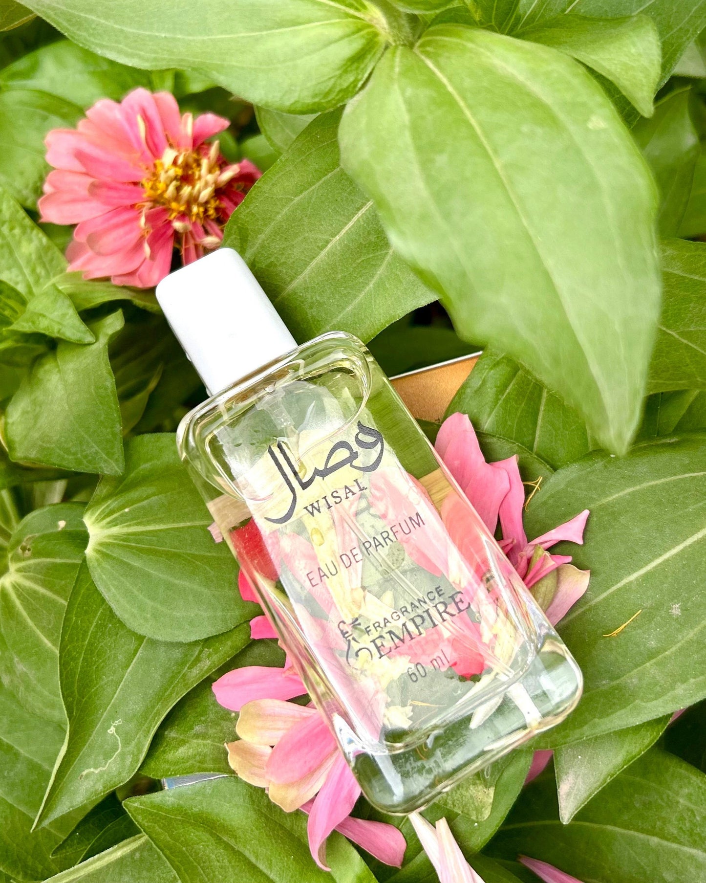 Wisal Eau de Parfum – 60ml | Elegant Unisex Fragrance